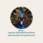 Presentatiemappen - met 2 gelijmde vakken